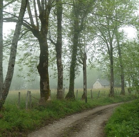 Circuit VTT n°6 – Val d’Azun – La vallée perdue