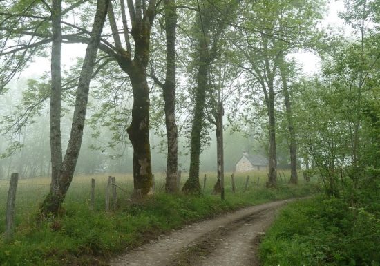 Circuit VTT n°6 – Val d&rsquo;Azun – La vallée perdue