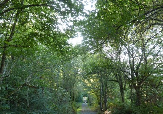 Circuit VTT n°6 – Val d&rsquo;Azun – La vallée perdue