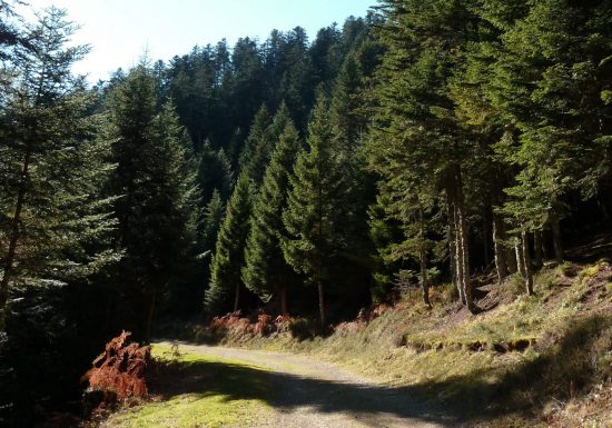 Boucle Initiation Trail Cap de Soc