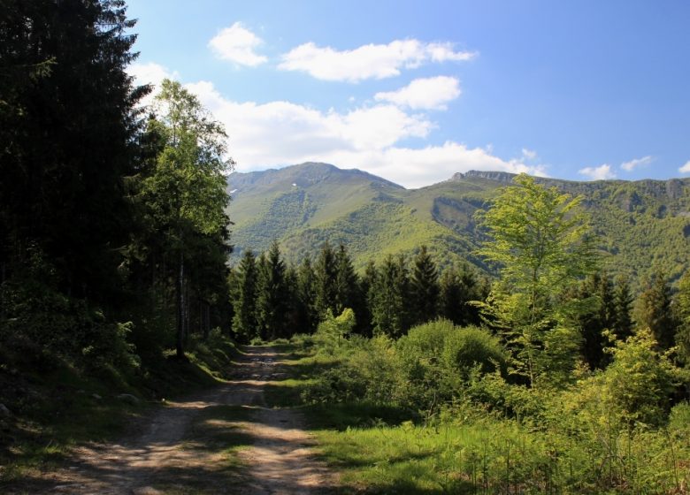 Le mont de Gez, depuis Argelès-Gazost