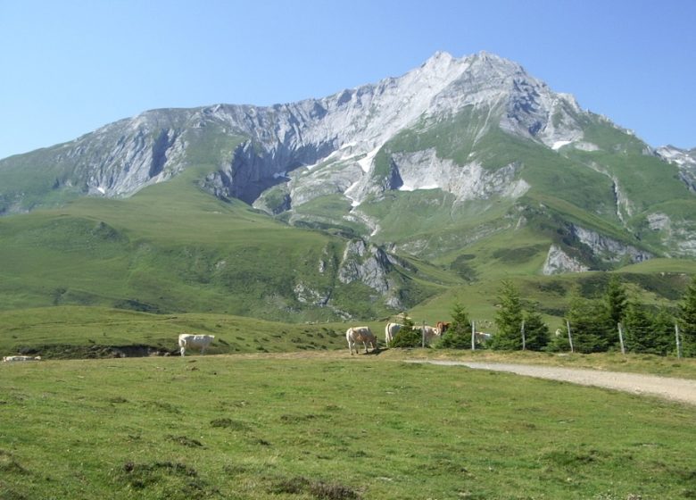 Traversée Col du Soulor – Col de Couraduque