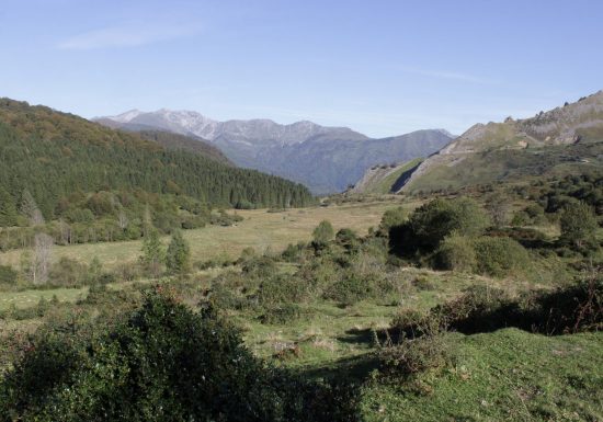 Le cirque du Litor