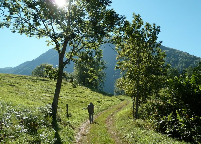 D’Ortiac à Isaby