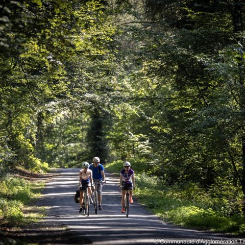 Parcours n°3 – Coteaux St-Pé de Bigorre