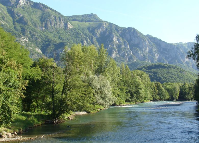 Le gave de Pau, au fil de l’eau