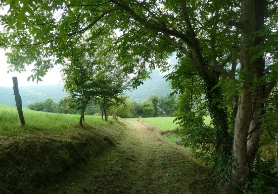 L&rsquo;Ancien chemin des facteurs