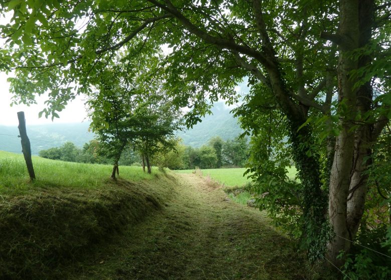 L’Ancien chemin des facteurs