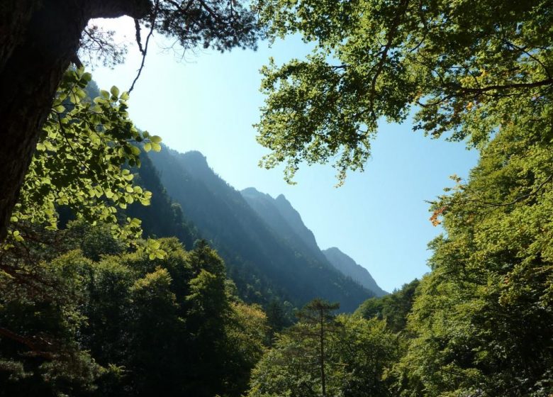 Le chemin des cascades