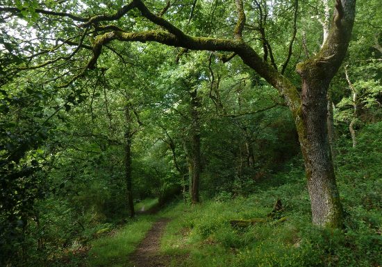 L&rsquo;Ancien chemin des facteurs