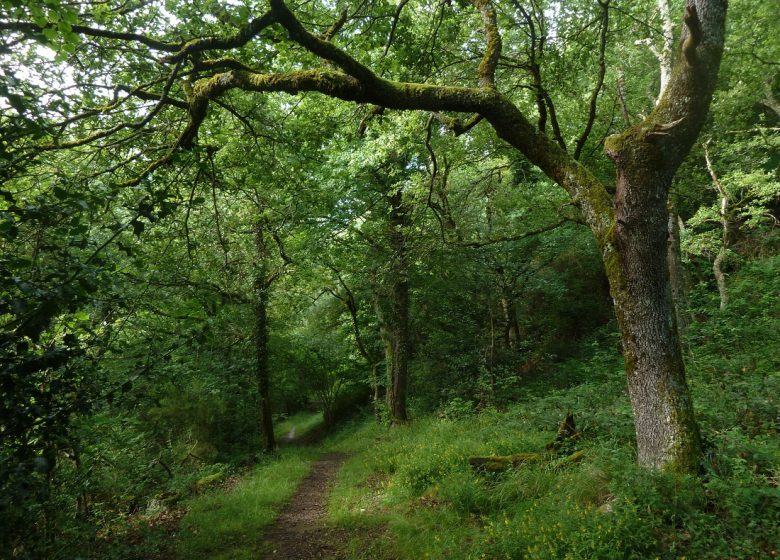 L’Ancien chemin des facteurs