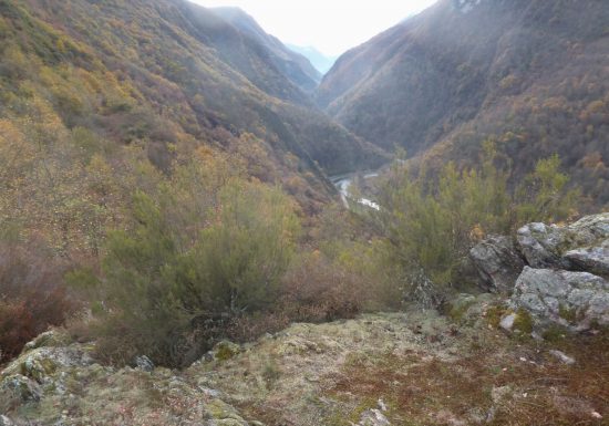 Le prieuré de Saint-Orens