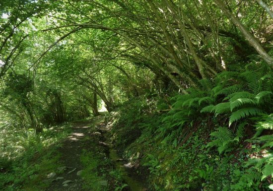Le Chemin des Chapelles