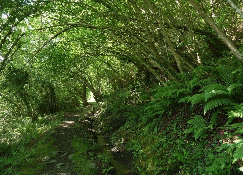 Le Chemin des Chapelles