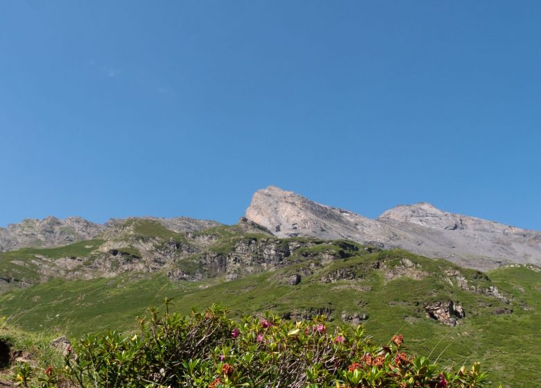 TRAIL 2 – Vallée du Badet