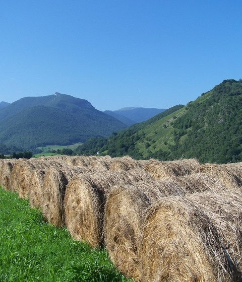 Boucle de la courade