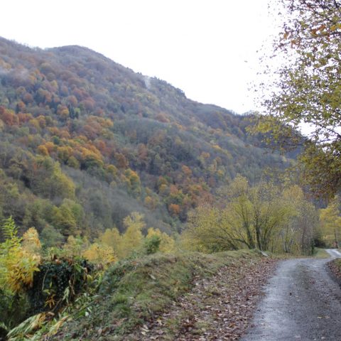 La voie verte, de Pierrefitte-Nestalas à Cauterets