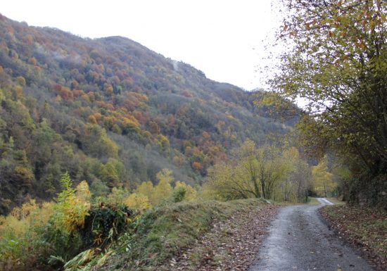 La voie verte, de Pierrefitte-Nestalas à Cauterets