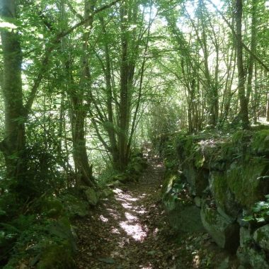 Circuit VTT n°7 – Vallée de Luz – La boucle de Viscos