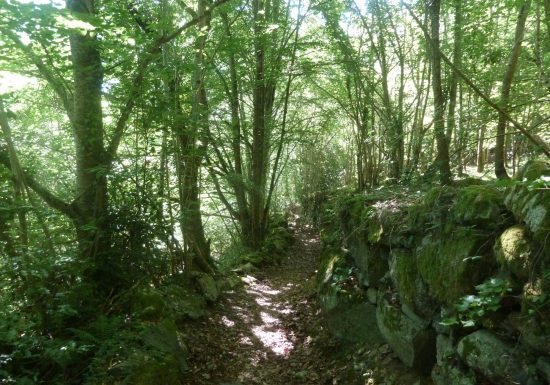 Circuit VTT n°7 – Vallée de Luz – La boucle de Viscos