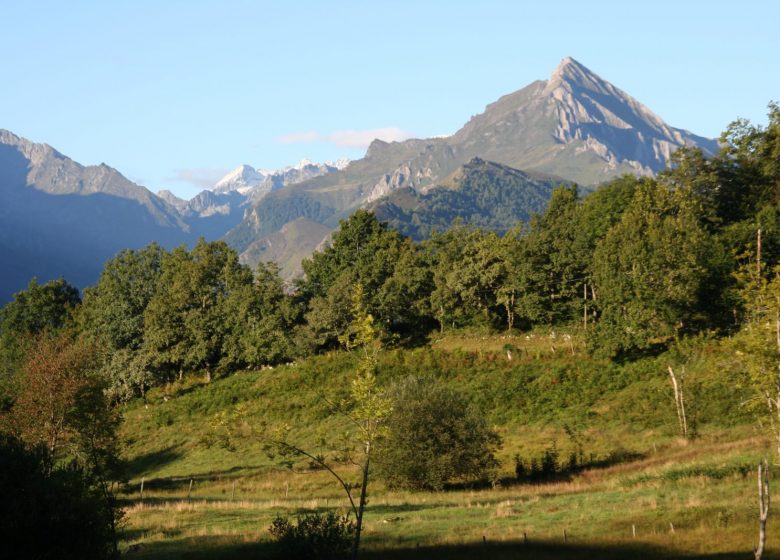 Le mont de Gez, depuis Argelès-Gazost